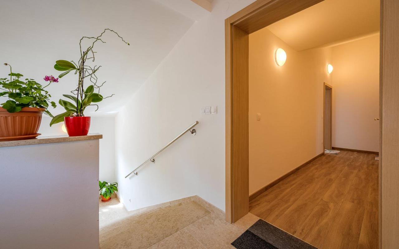 Apartments Nelle بولا المظهر الخارجي الصورة